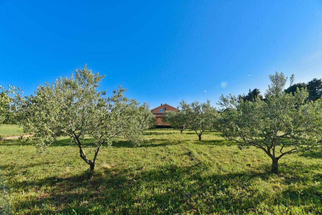 Holiday Home Taras Smilcic Exterior photo